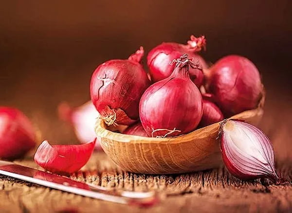 تصویر 2 از قیمت خرید پیاز قرمز کوچک عمده به صرفه و ارزان